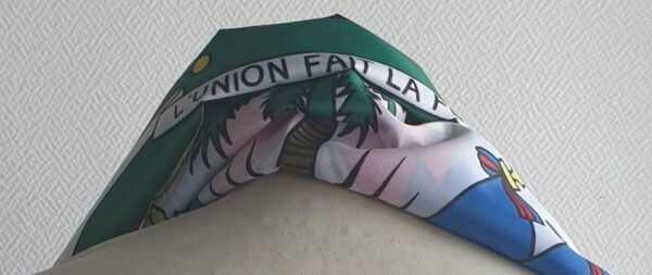 Foulard écharpe en polyester réversible et unisexe orné du drapeau Haïti sur l'ensemble de la confection.