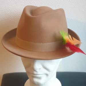 Chapeau classique en laine. Ce petit bord est proposé en beige assorti de plumes légères très attrayantes sur un modèle borsalino doux à porter. Toutes tailles. Confectionné en Italie. 27.95€